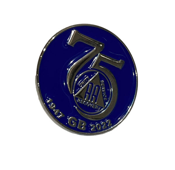 AA 75th Pin Badge