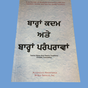 Punjabi 12 x 12