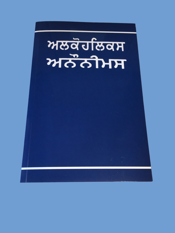 Punjabi Big Book
